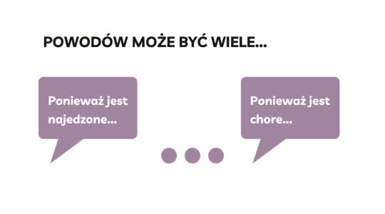 powody niejedzenia - od najedzenia po chorobę